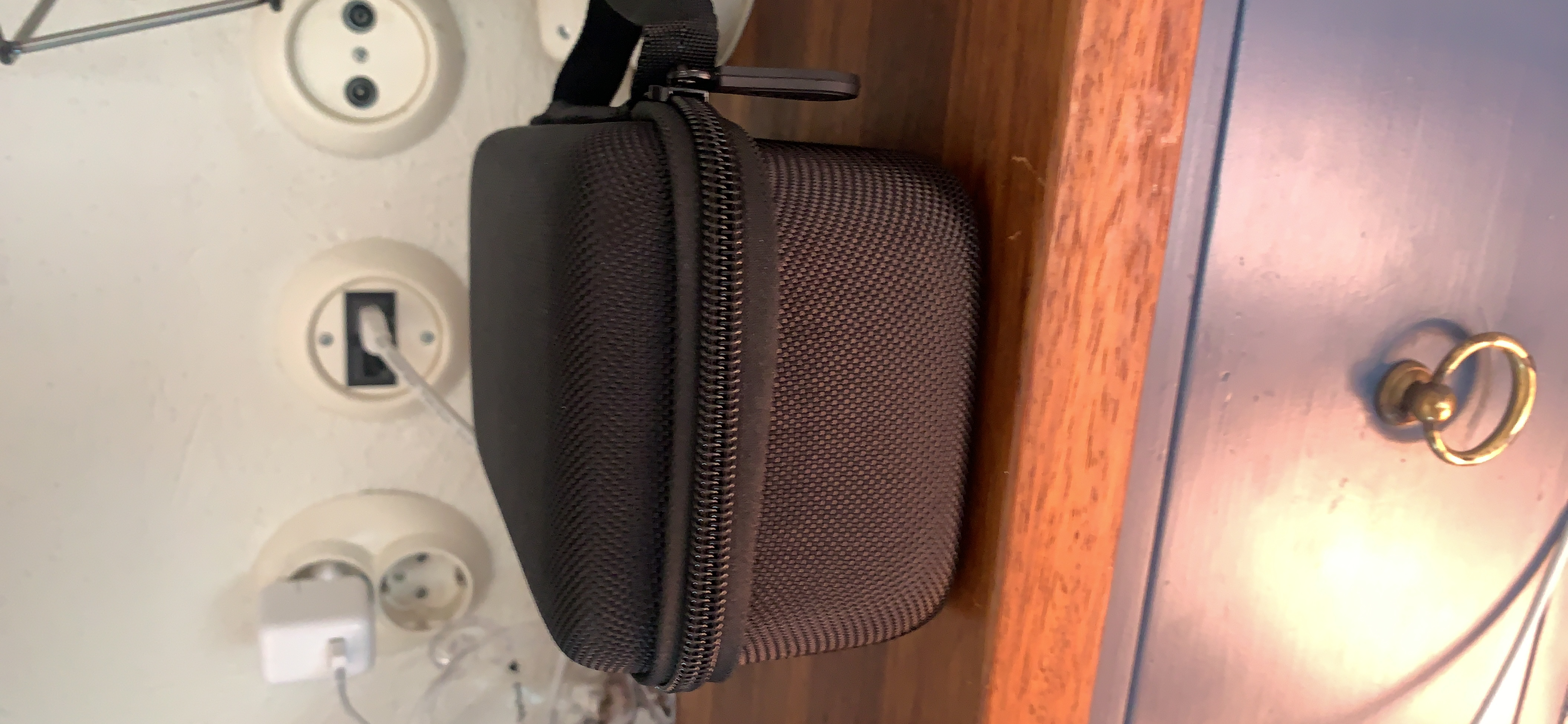 Aenllosi Speaker Case custodia Marshall Willen II nera EVA