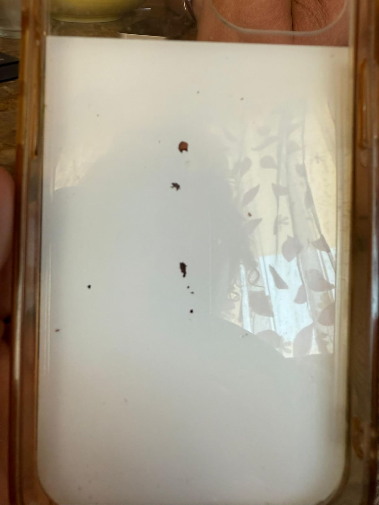 La Casa de las Carcasas Personalizzate iPhone 15 Pro cover foto