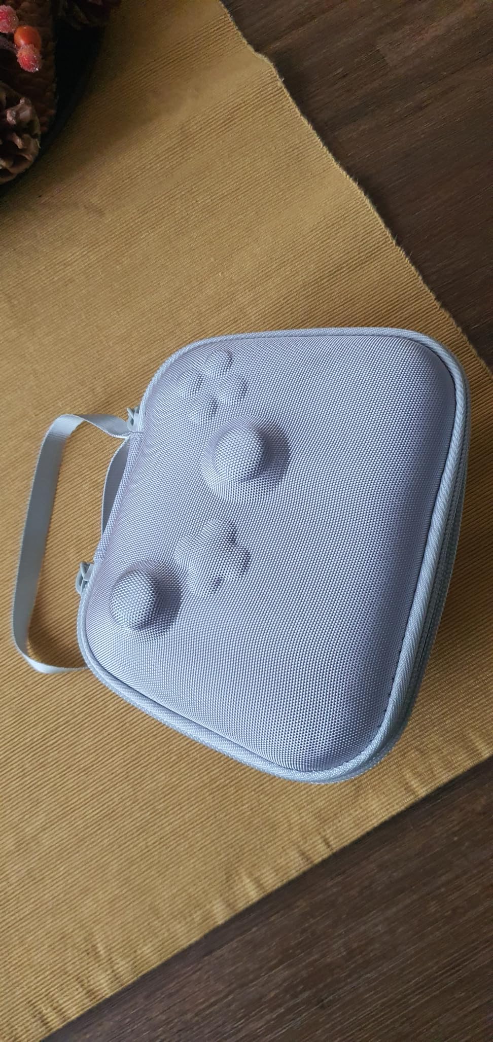 Aenllosi Game Controller Case 8BitDo Ultimate 2 custodia nera EVA