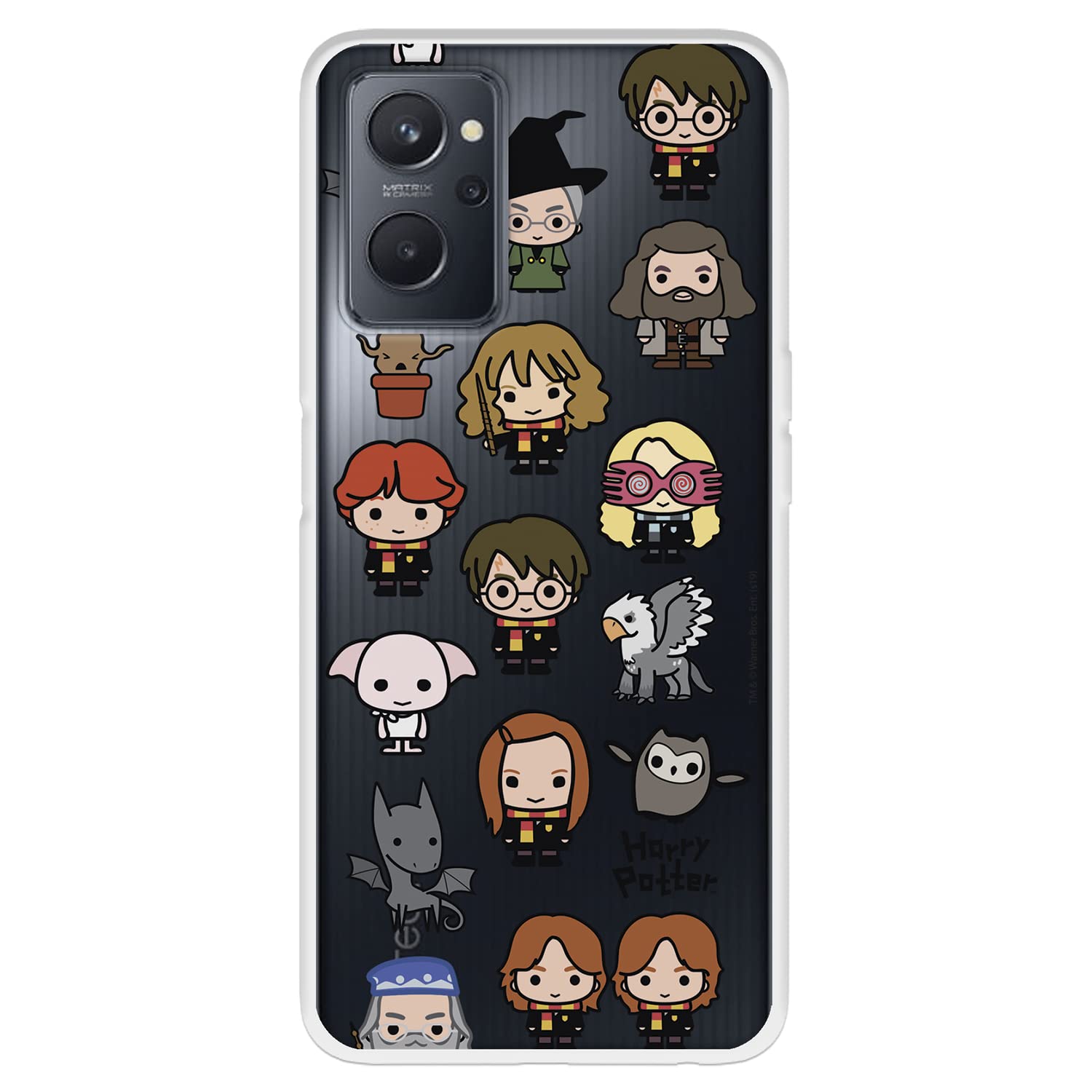 La Casa de las Carcasas Licenze Cover Realme 9i Harry Potter