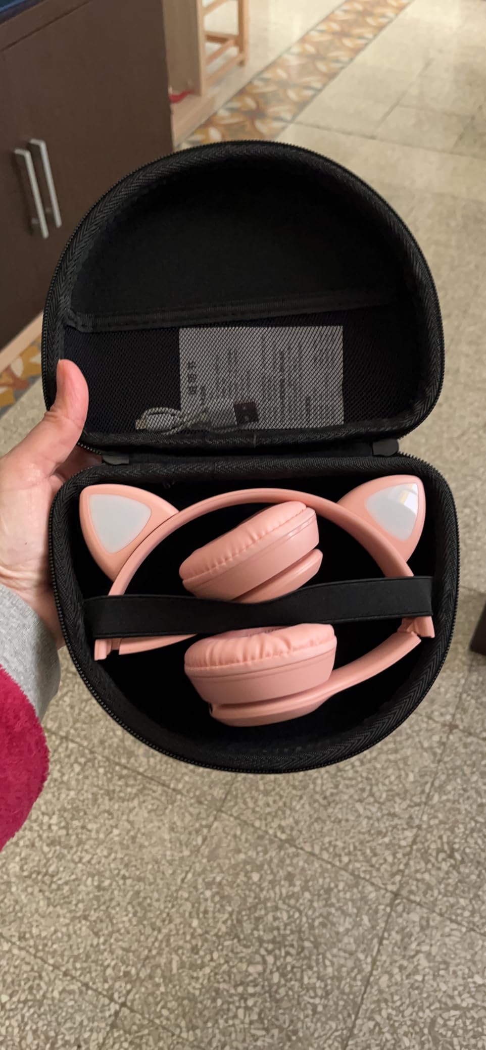 Aenllosi Headphone H30i Custodia Cuffie Rigida EVA Antipolvere